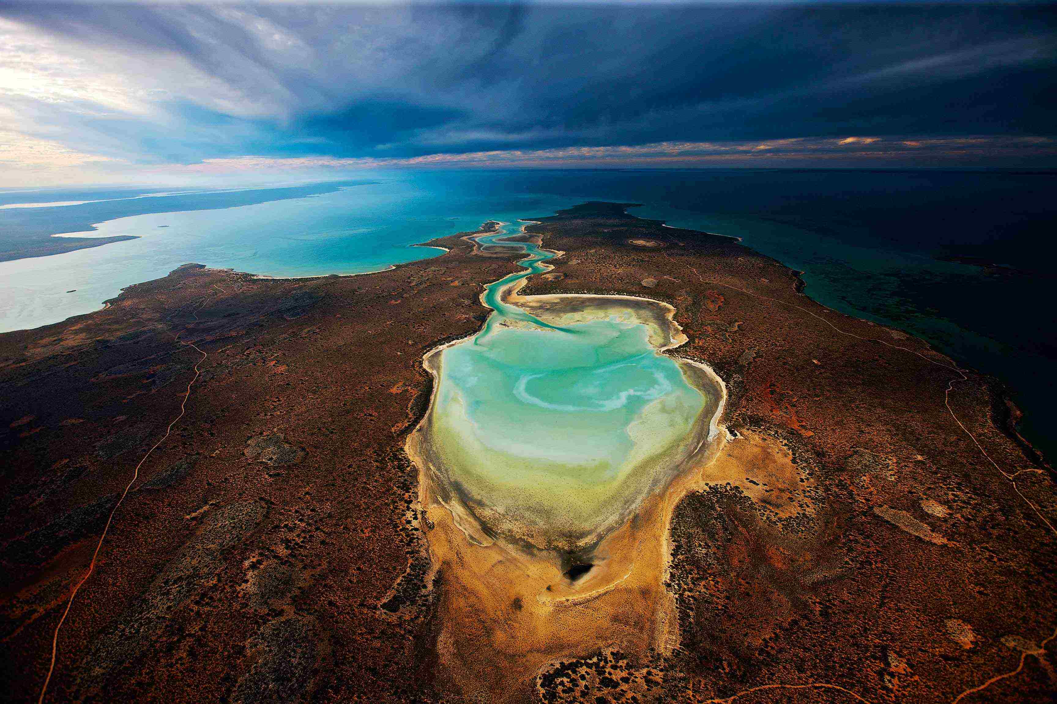 Omega Planet Ocean Shark Bay